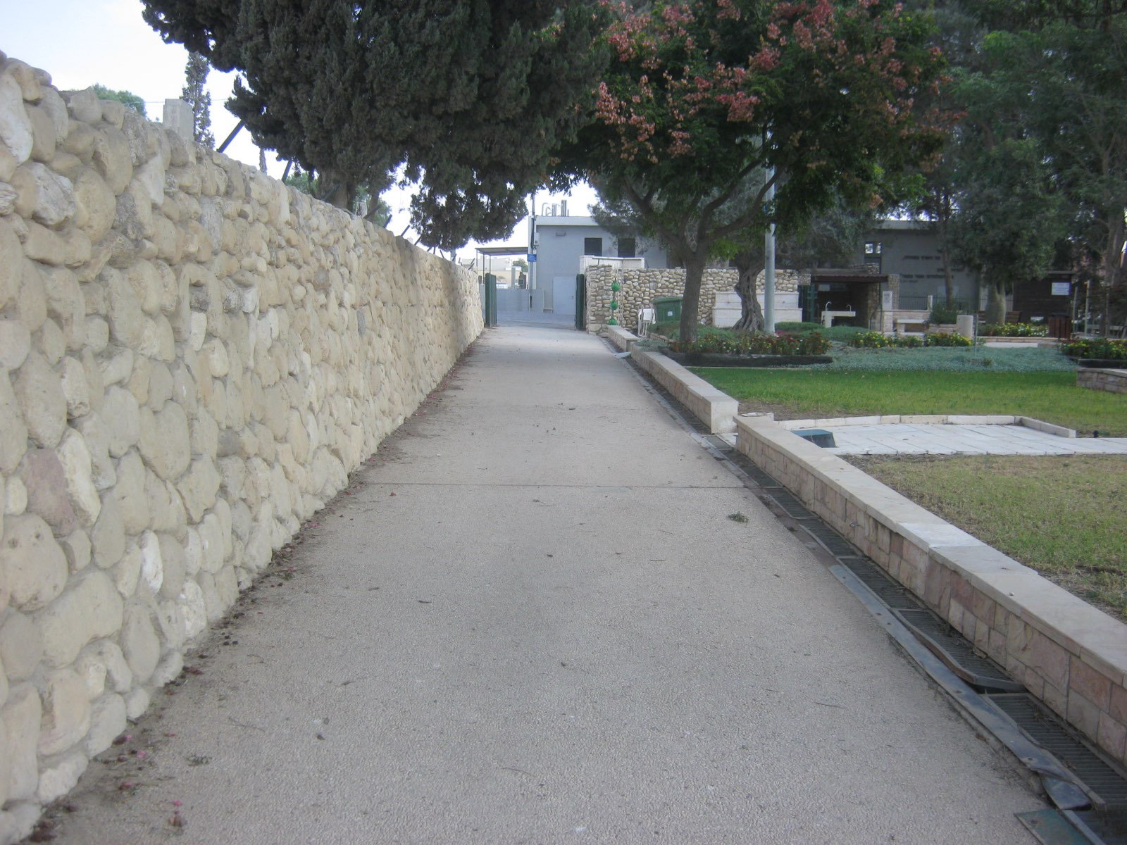El cementerio militar de Dimona, 2022