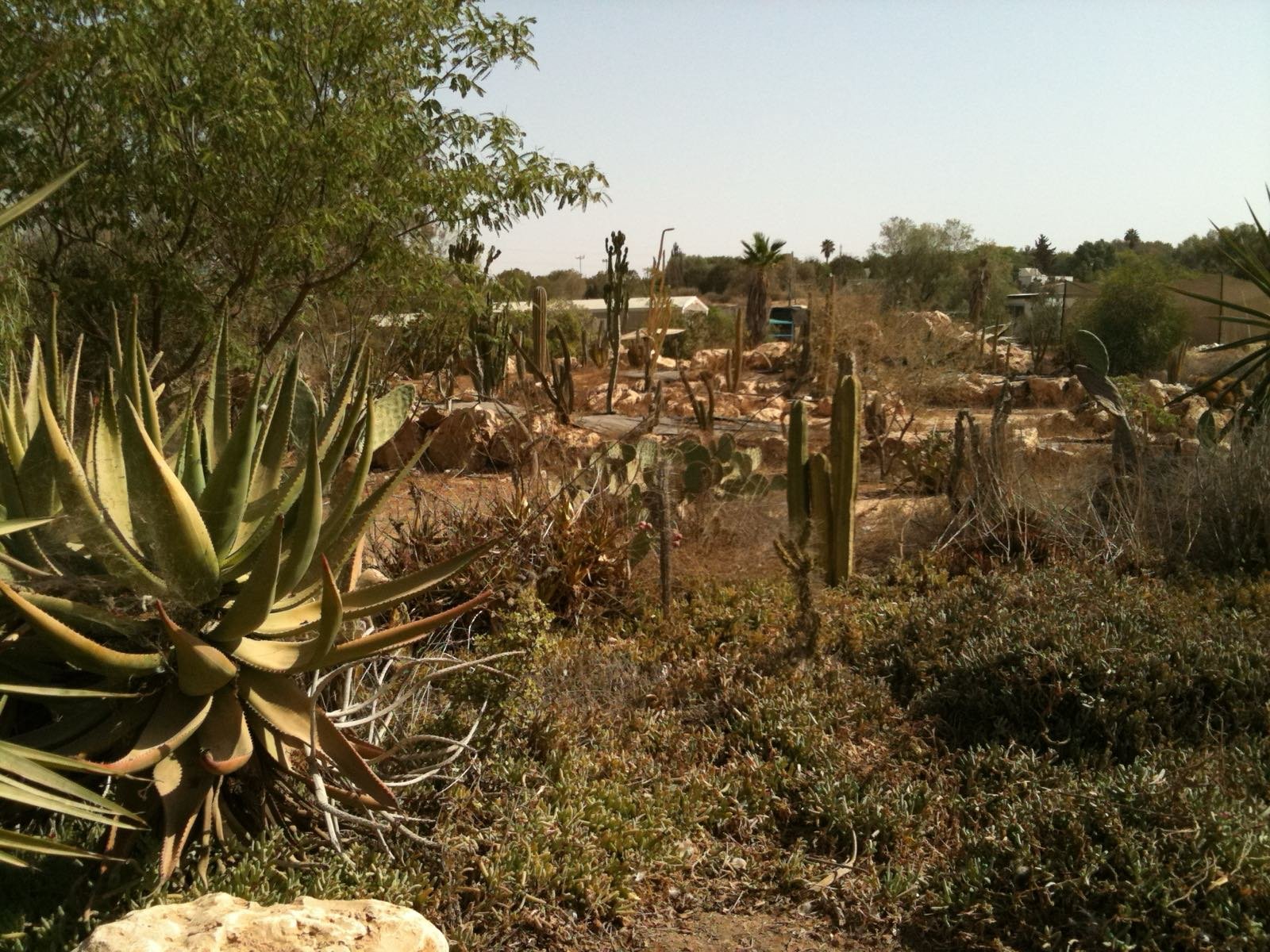 הגן הזואולוגי של באר שבע, 2010