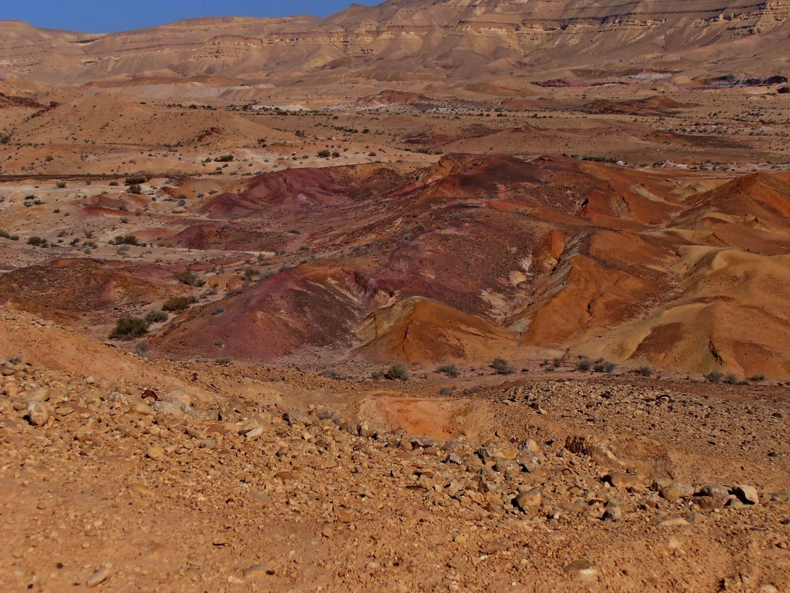 الرمال الملوّنة, 2015